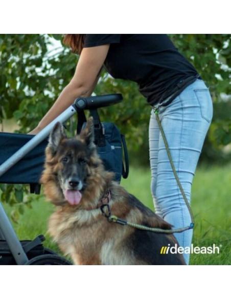 Anti-Zug Hundeleine mit Ruckdämpfer und Handschlaufe 200 cm  M,L,XL Schwarz