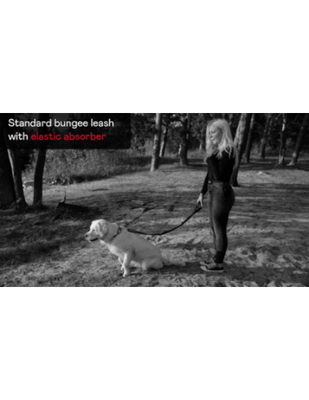 Anti-Zug Hundeleine mit Ruckdämpfer und Handschlaufe 200 cm  M,L,XL Schwarz