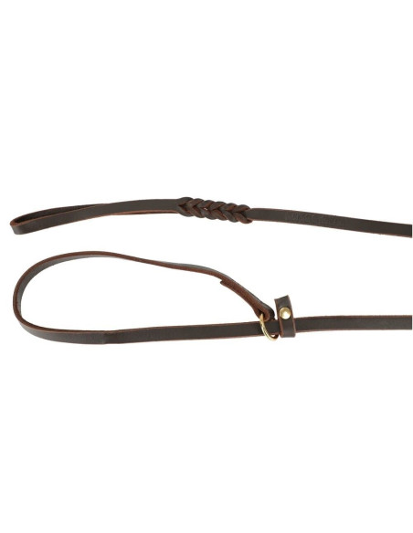 Führleine aus weichem Leder