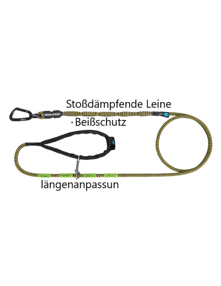 Anti-Zug Hundeleine mit Ruckdämpfer und Handschlaufe 200 cm  M,L,XL Schwarz