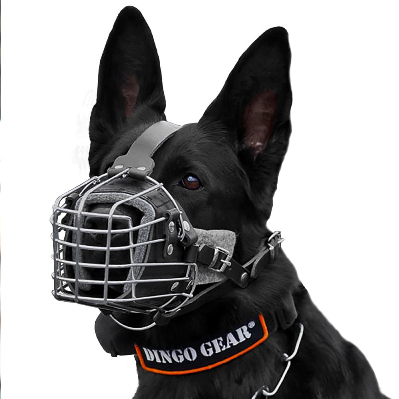Dingo Gear Maulkorb für Hund Kampf-Training