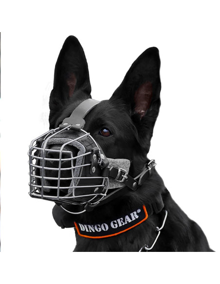 Dingo Gear Maulkorb für Hund Kampf-Training