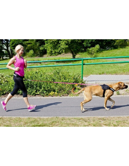 Dingo Canicross Führleine mit Stoßdämpfer