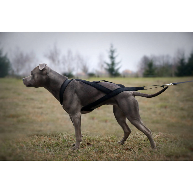 Hundegeschirr SLED