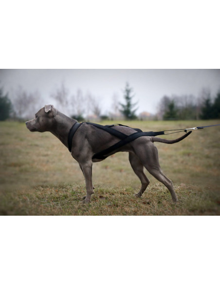Hundegeschirr SLED
