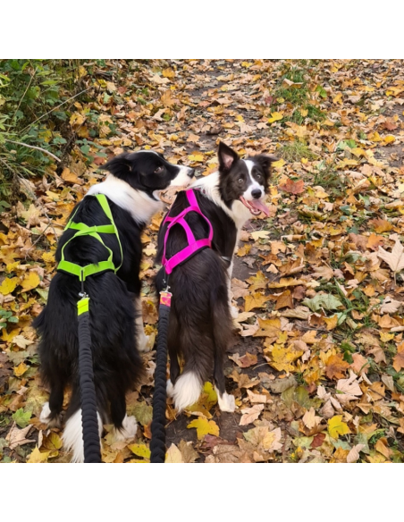 Hundegeschirr SLED