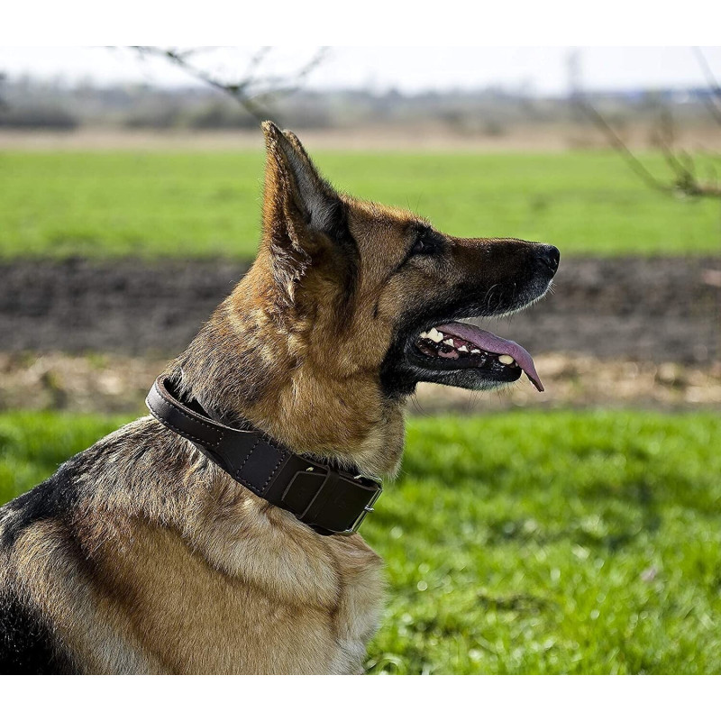 Halsband aus Weichem Leder mit Griff