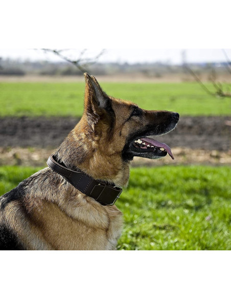 Halsband aus Weichem Leder mit Griff