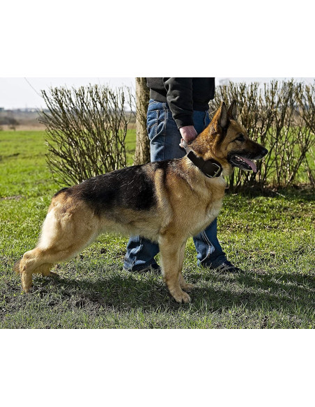 Halsband aus Weichem Leder mit Griff