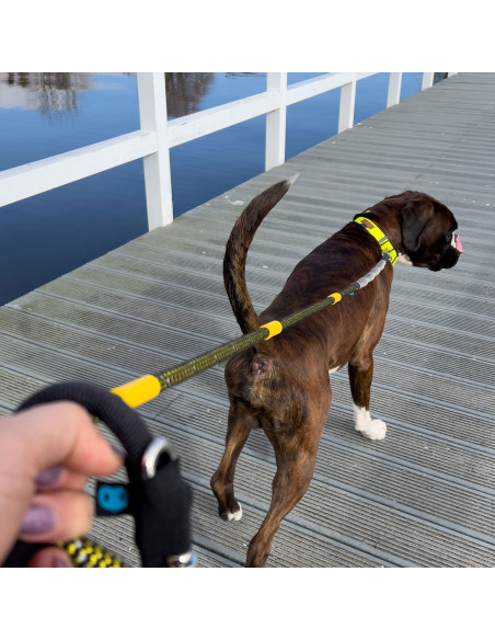 Anti-Zug Hundeleine mit Ruckdämpfer und Handschlaufe 200 cm  M,L,XL Schwarz