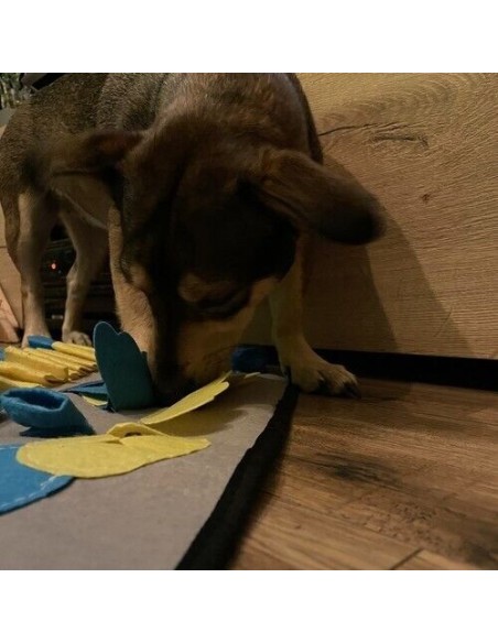 Schnüffelteppich Hunde Schnüffelmatte für Riechen