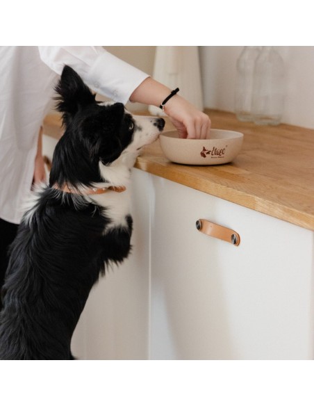 Hundenapf  für Katzen und Hunde aus Bambus