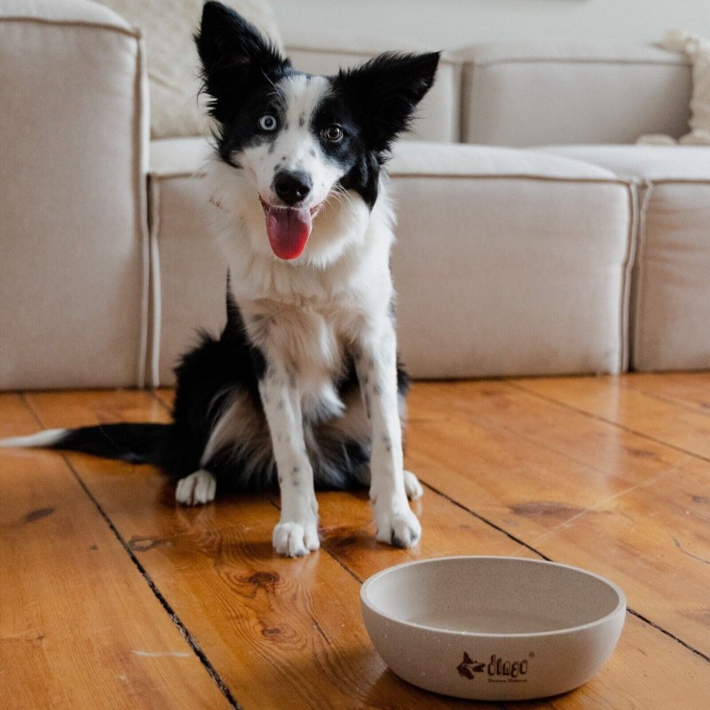 Hundenapf  für Katzen und Hunde aus Bambus