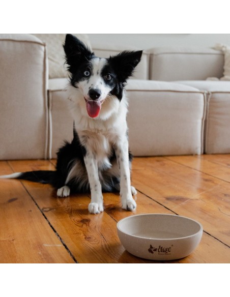 Hundenapf  für Katzen und Hunde aus Bambus