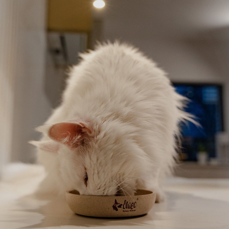 Hundenapf  für Katzen und Hunde aus Bambus