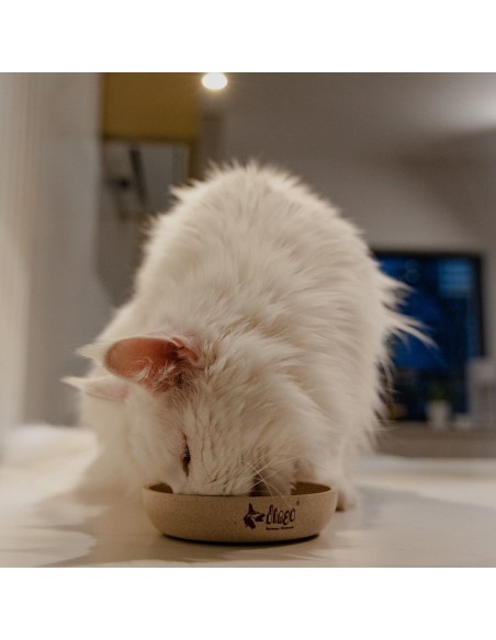 Hundenapf  für Katzen und Hunde aus Bambus