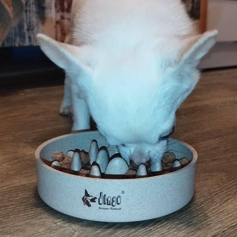 Hundenapf Futternapf für Katzen und Hunde aus...