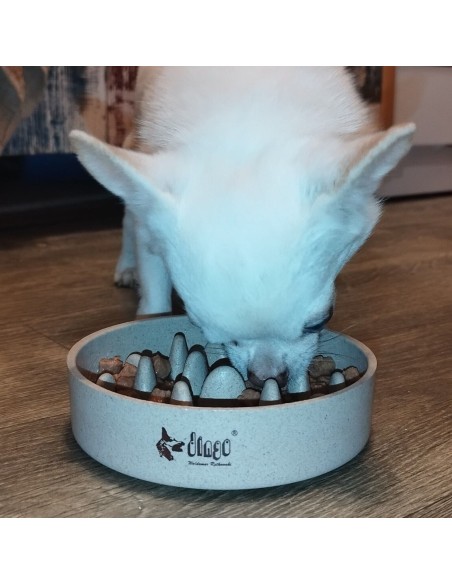 Hundenapf Futternapf für Katzen und Hunde aus Bambus