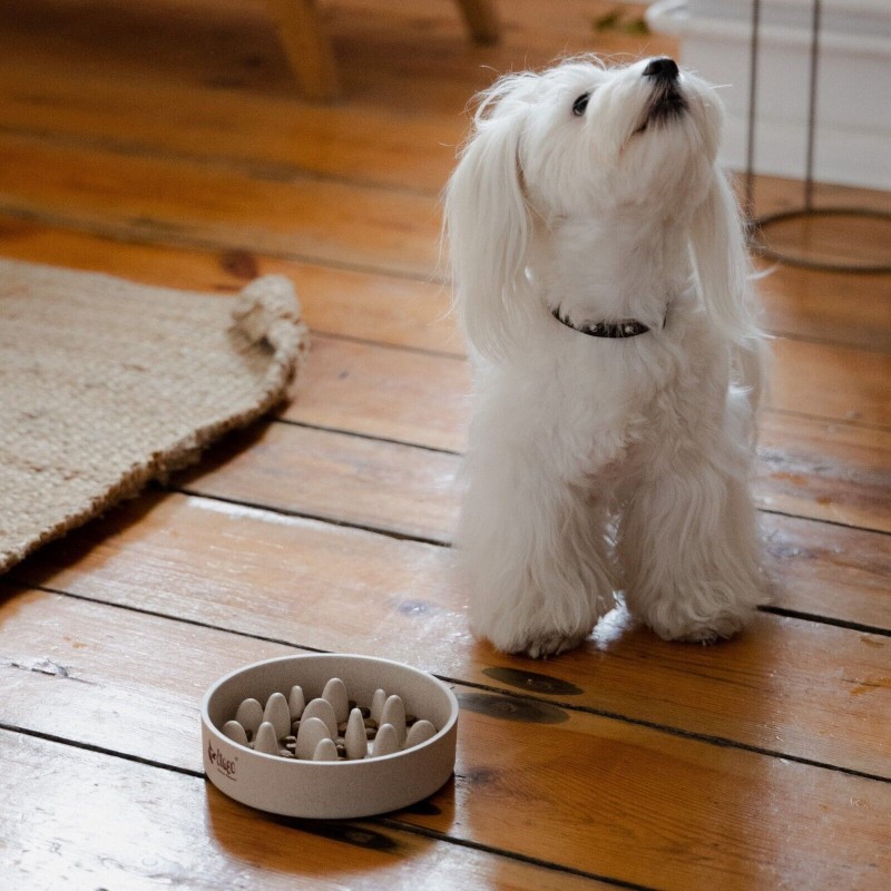 Hundenapf Futternapf für Katzen und Hunde aus...