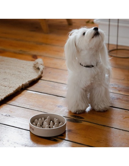 Hundenapf Futternapf für Katzen und Hunde aus Bambus