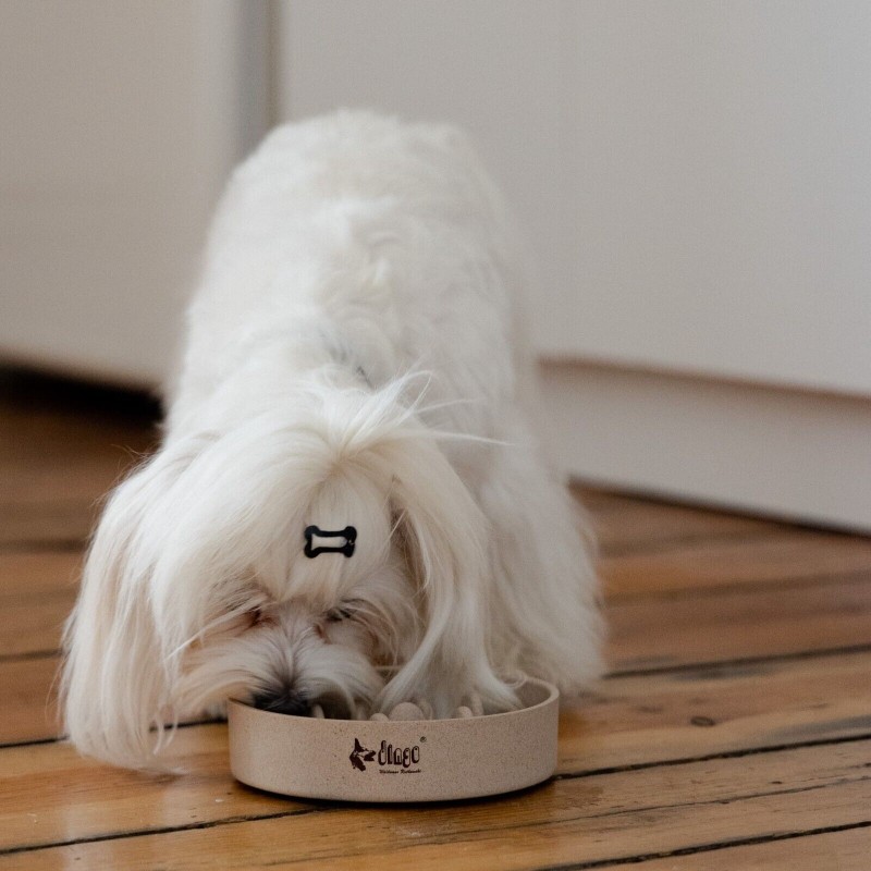 Hundenapf Futternapf für Katzen und Hunde aus...