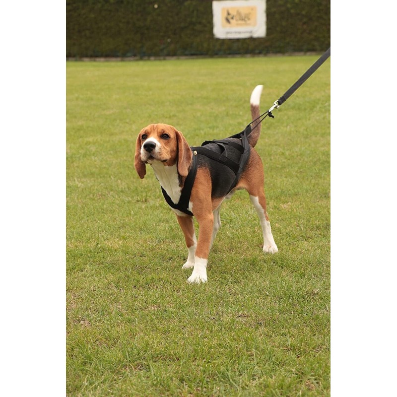Hundegeschirr Brustgeschirr Hunde Zuggeschirr...