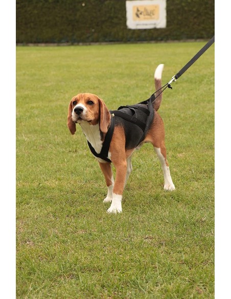 Hundegeschirr Brustgeschirr Hunde Zuggeschirr Hundezugsport