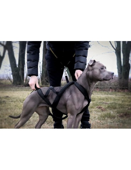 Hundegeschirr Brustgeschirr Hunde Zuggeschirr Hundezugsport