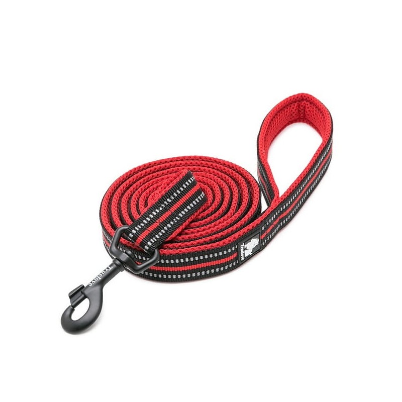 Truelove® 2 Meter Hundeleine Führleine Nylon Breite 2,5 cm 2